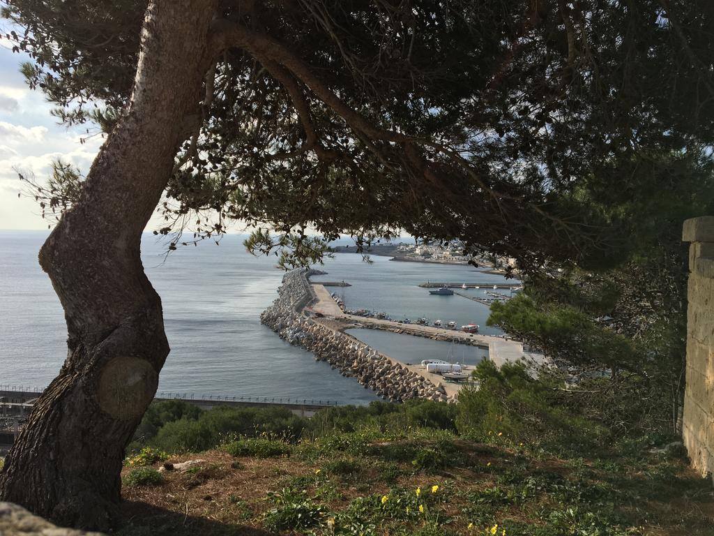Casa Dell'ospite Apartment Santa Maria di Leuca
